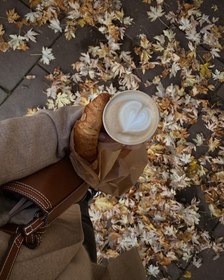 FALL/WINTER