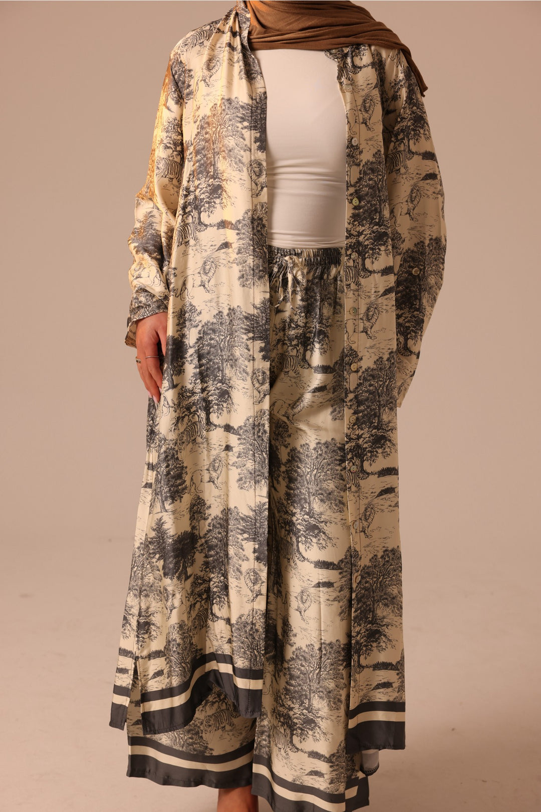 Dior Shirt Dress